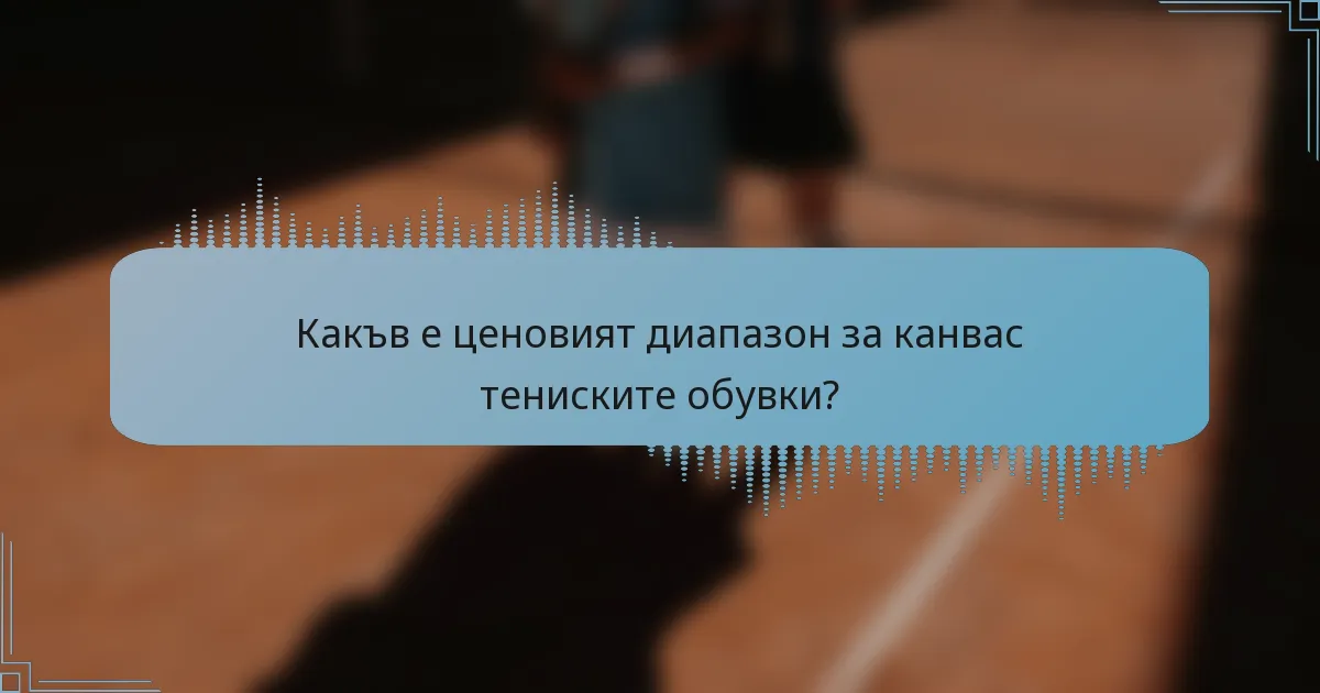 Какъв е ценовият диапазон за канвас тениските обувки?