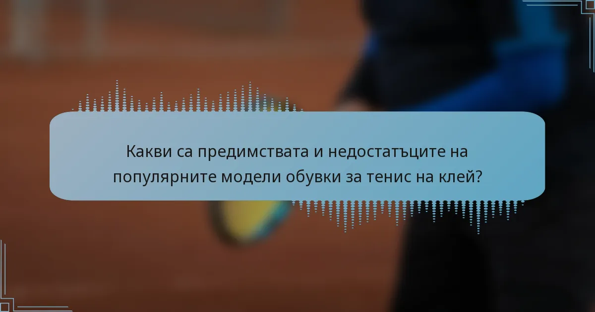 Какви са предимствата и недостатъците на популярните модели обувки за тенис на клей?