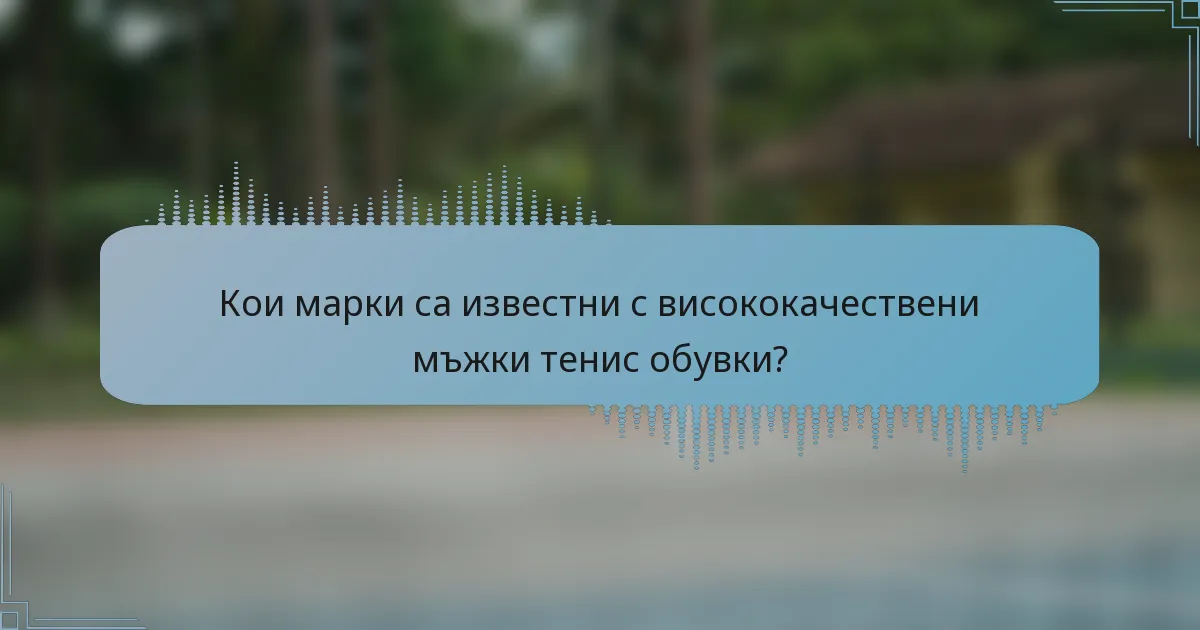 Кои марки са известни с висококачествени мъжки тенис обувки?